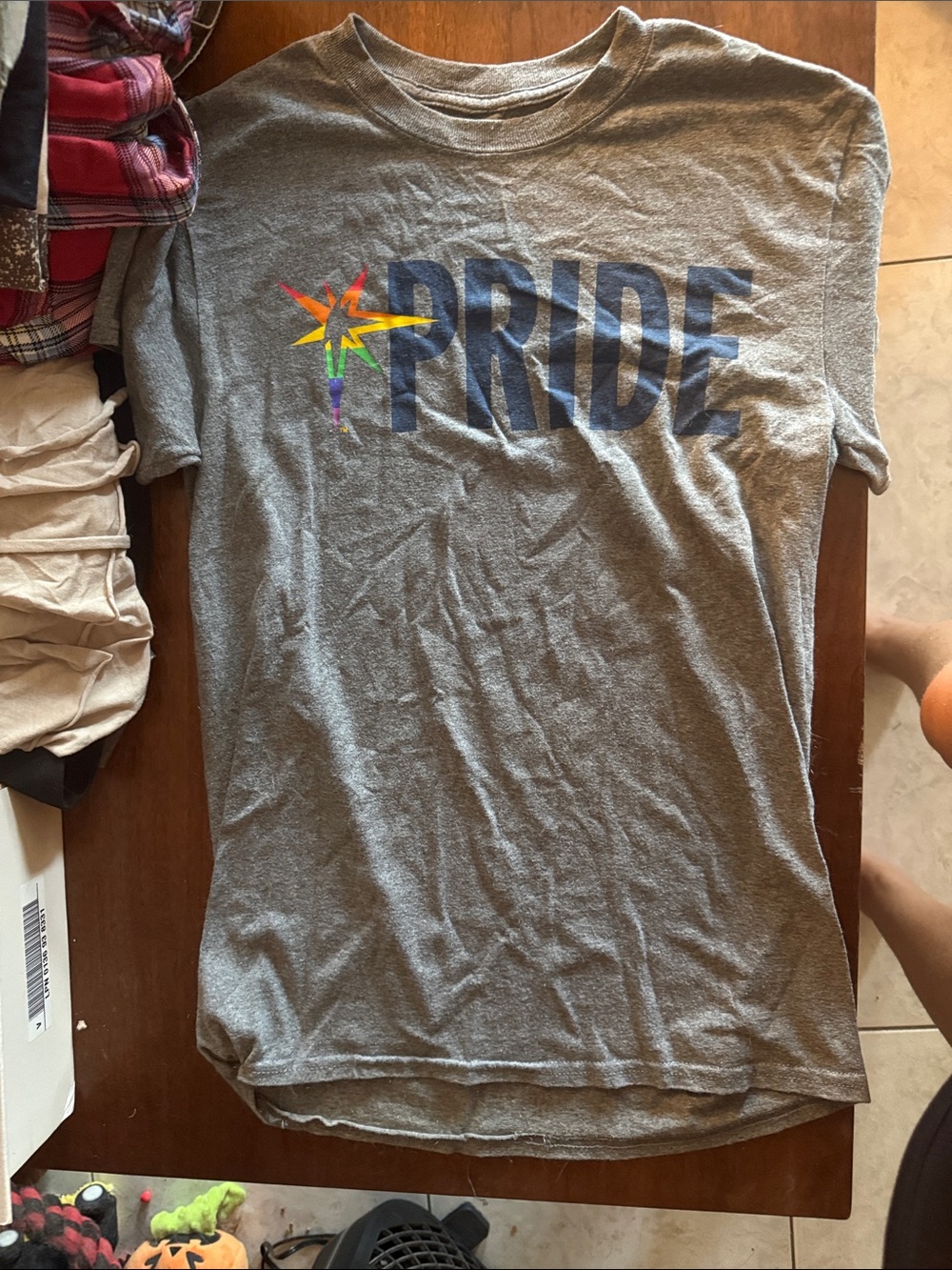 Gray Pride Graphic Tee - Unbranded